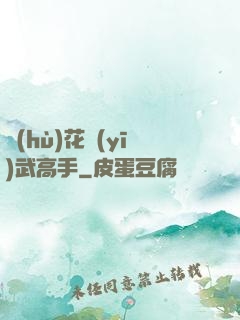 護(hù)花醫(yī)武高手