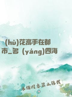 護(hù)花高手在都市