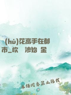 護(hù)花高手在都市