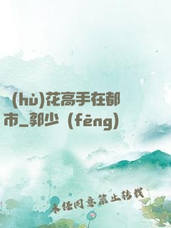 護(hù)花高手在都市