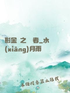 變形金剛之偽裝者