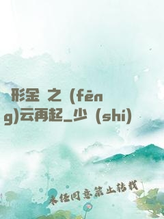 變形金剛之風(fēng)云再起