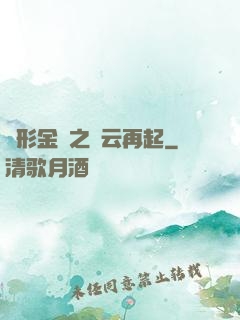 變形金剛之風云再起