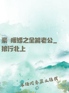豪門暖婚之全能老公