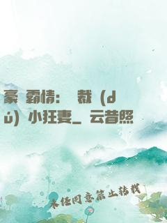 豪門霸情：總裁獨(dú)寵小狂妻