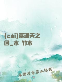 財(cái)富通天之輪回