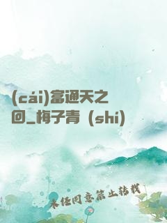 財(cái)富通天之輪回