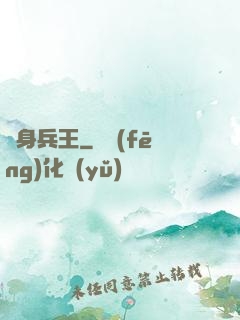 貼身兵王