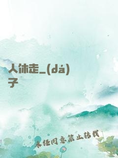 賊人休走