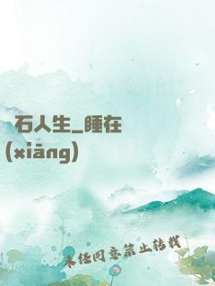 賭石人生