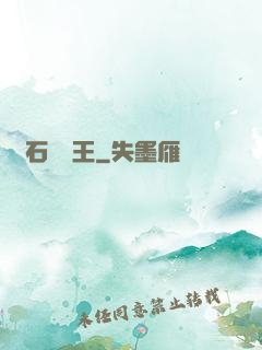 賭石鑒寶王