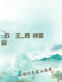 賭石鑒寶王