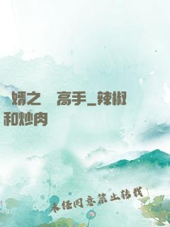 贅婿之無敵高手