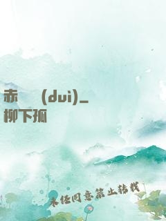 赤鳶艦隊(duì)