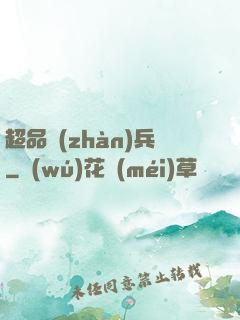 超品戰(zhàn)兵