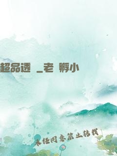 超品透視