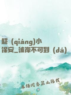 超強(qiáng)小保安