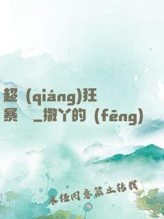 超強(qiáng)狂暴盜賊