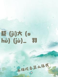 超級(jí)大數(shù)據(jù)