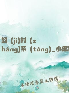 超級(jí)村長(zhǎng)系統(tǒng)
