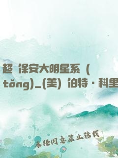 超級保安大明星系統(tǒng)