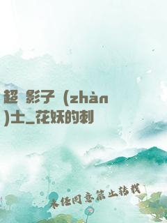 超級影子戰(zhàn)士