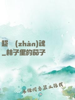 超級戰(zhàn)魂