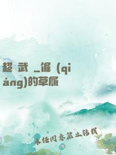 超級武裝