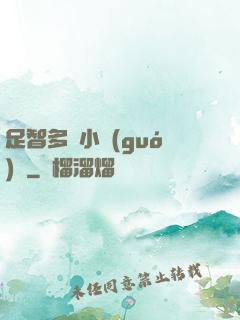 足智多謀小國(guó)師