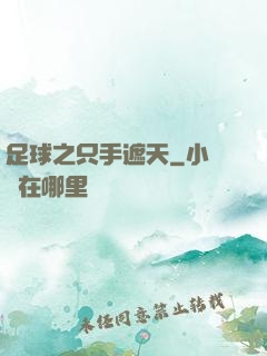 足球之只手遮天