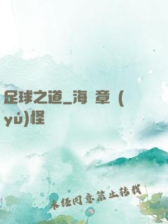 足球之道
