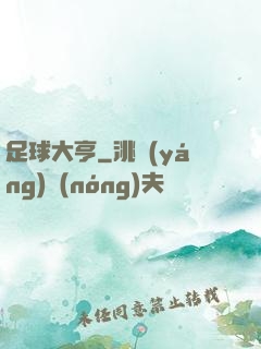 足球大亨