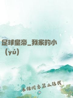 足球皇帝