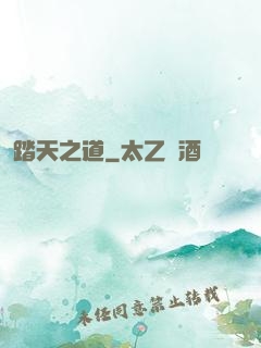 踏天之道