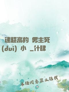 車速超高的雙男主死對(duì)頭小說