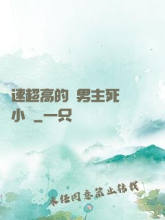 車速超高的雙男主死對頭小說