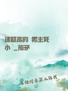 車速超高的雙男主死對頭小說