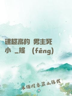 車速超高的雙男主死對頭小說