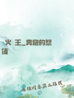 軍火為王
