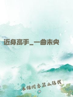 近身高手