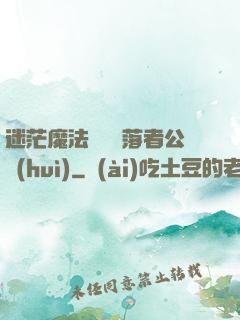 迷茫魔法師與墮落者公會(huì)