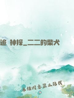 追兇神探