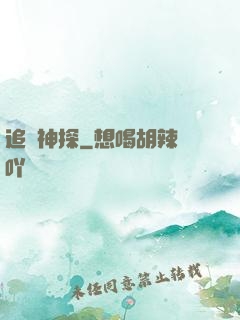 追兇神探