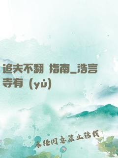 追夫不翻車指南