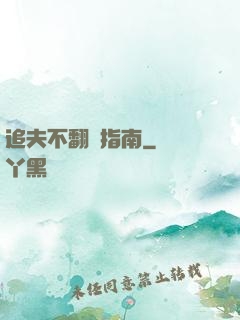追夫不翻車指南