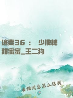 追妻36計：陸少撒糖甜蜜蜜