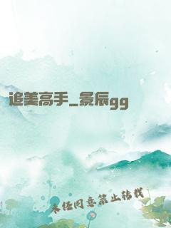 追美高手