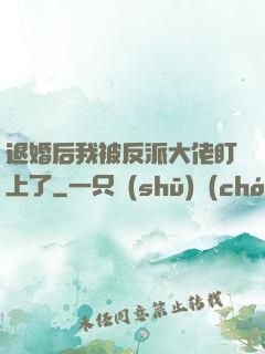 退婚后我被反派大佬盯上了