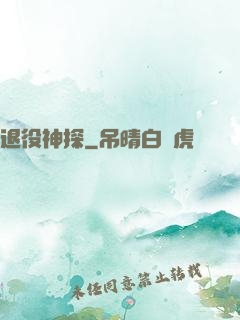 退役神探