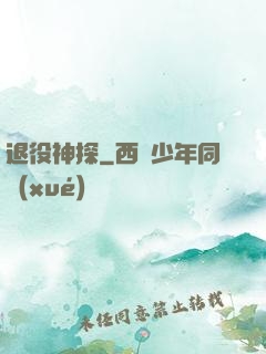 退役神探